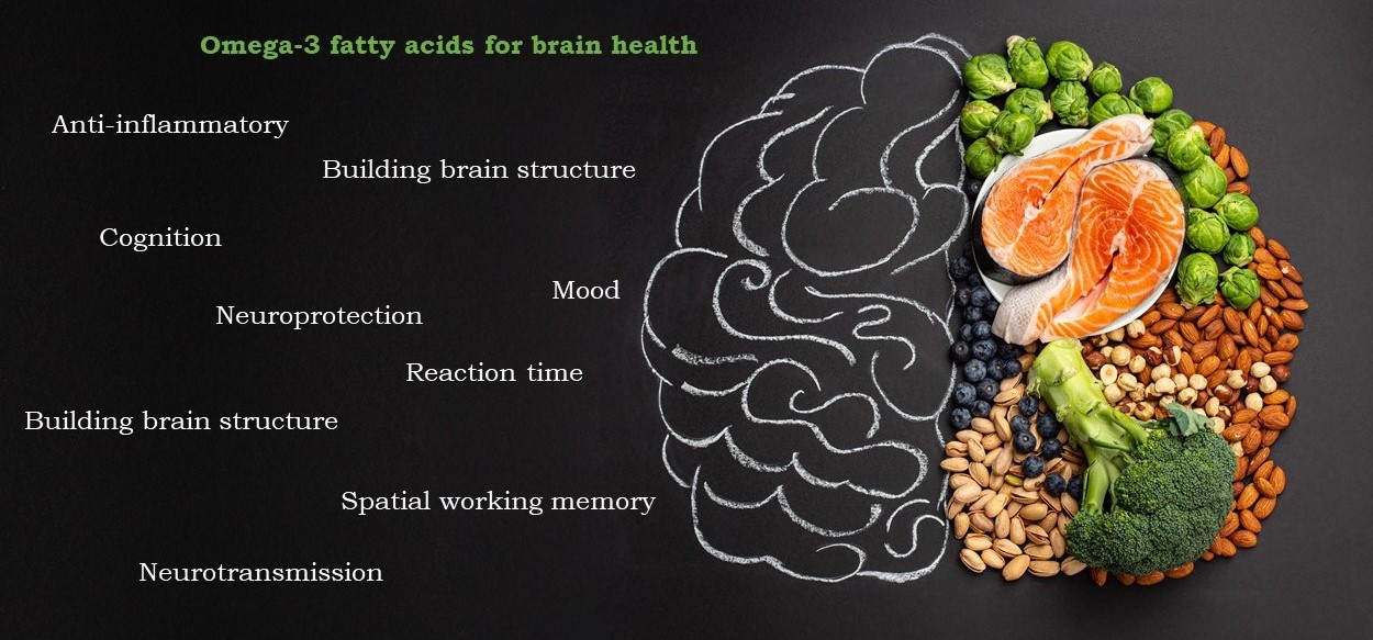 foto brain benefits cut.jpg